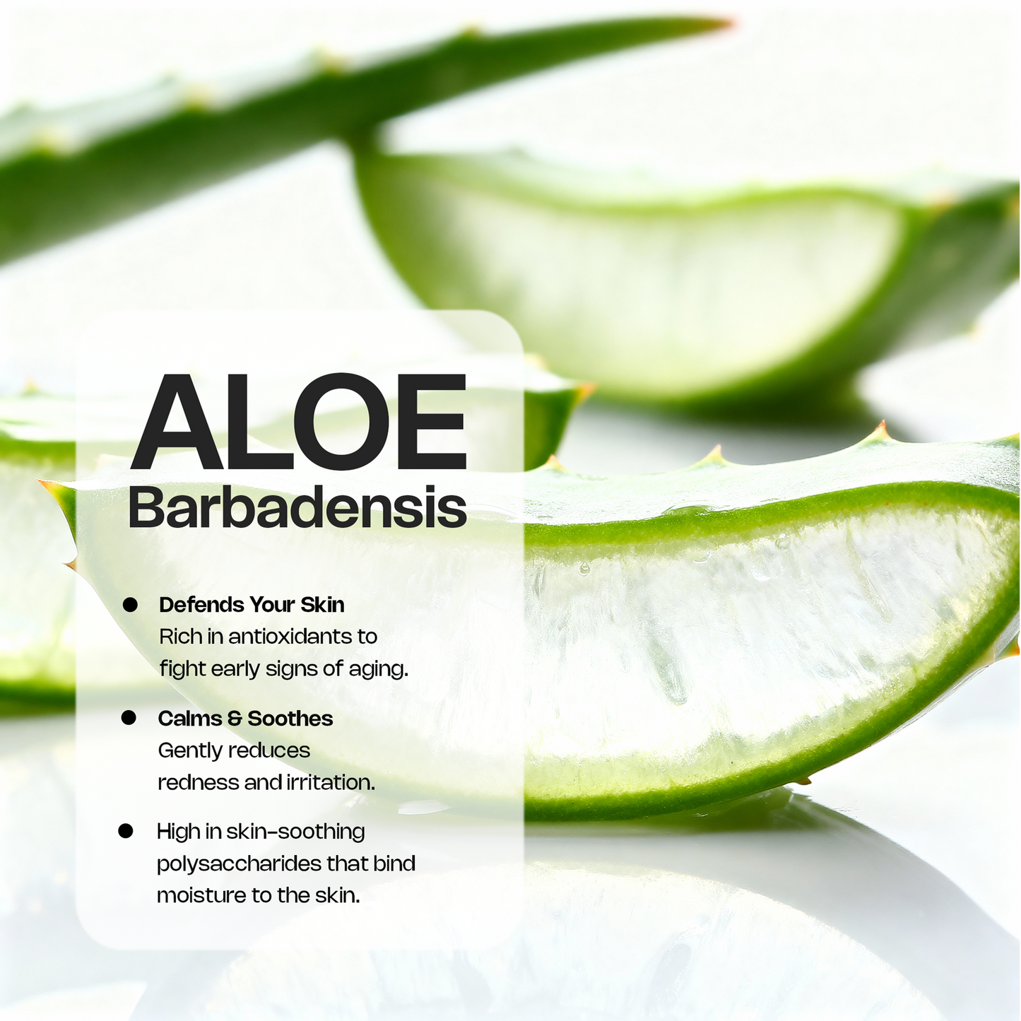 Peptide Hydration Serum