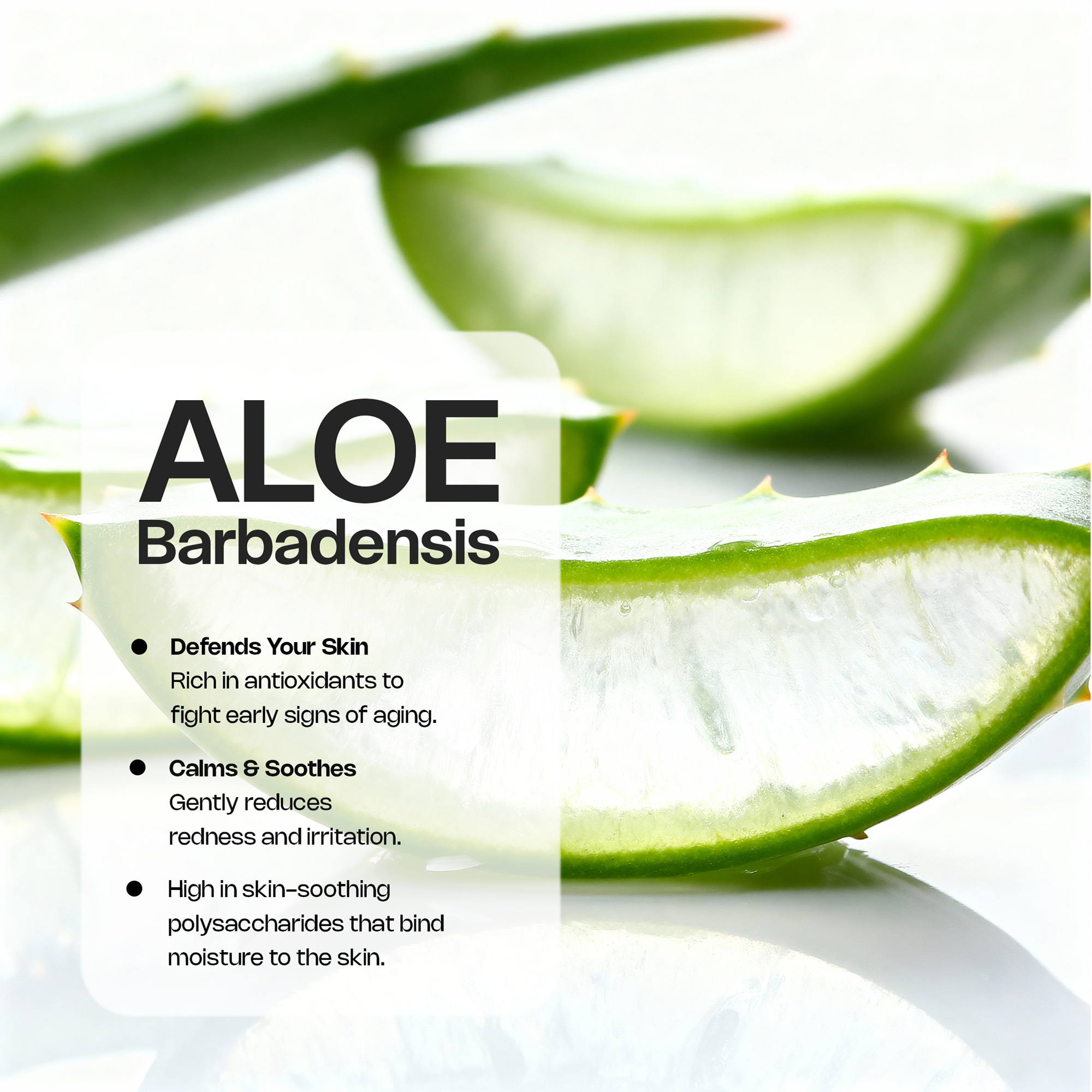 Peptide Hydration Serum