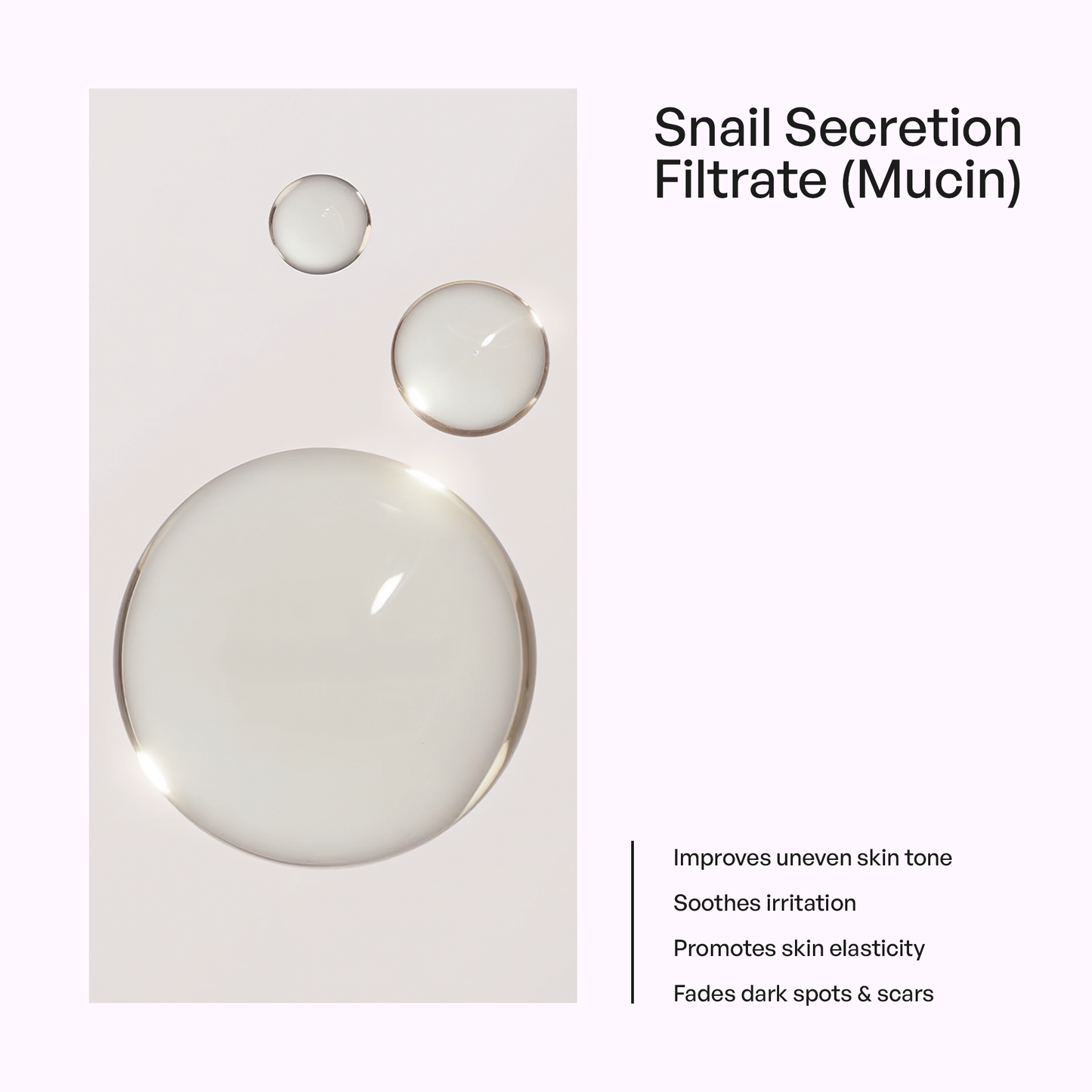 Snail Mucin Essence