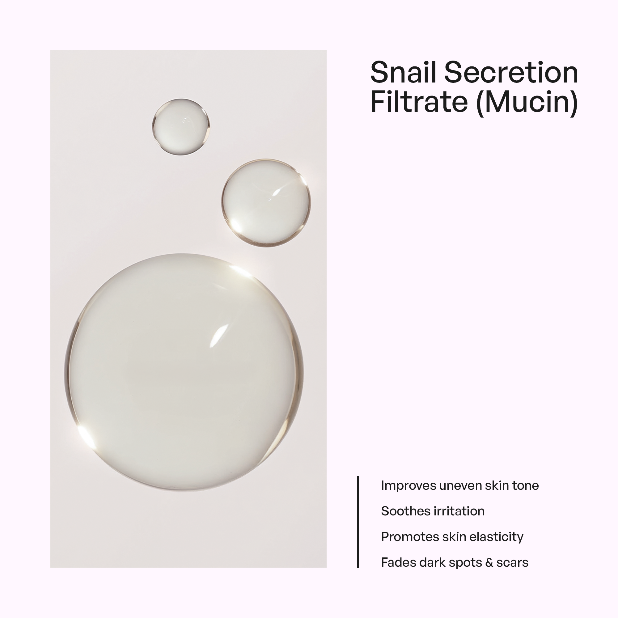 Snail Mucin Essence